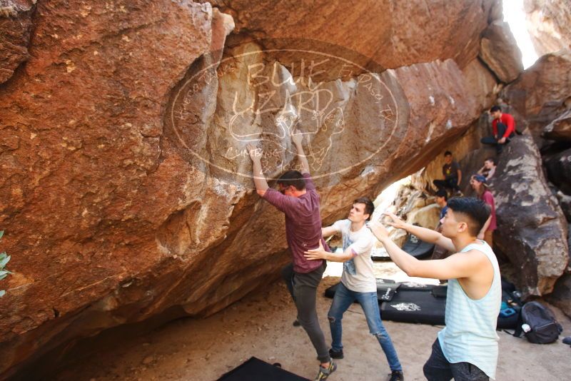 Bouldering in Hueco Tanks on 11/10/2019 with Blue Lizard Climbing and Yoga
Filename: SRM_20191110_1525500.jpg
Aperture: f/4.0
Shutter Speed: 1/250
Body: Canon EOS-1D Mark II
Lens: Canon EF 16-35mm f/2.8 L