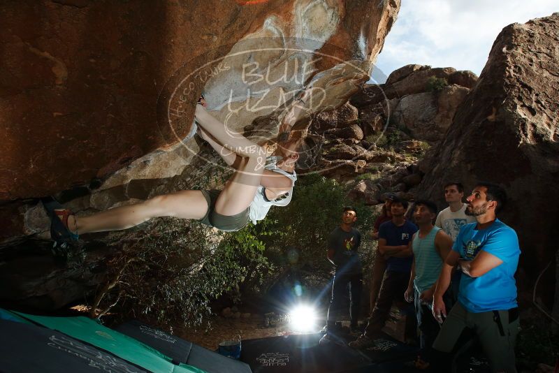 Bouldering in Hueco Tanks on 11/10/2019 with Blue Lizard Climbing and Yoga

Filename: SRM_20191110_1630310.jpg
Aperture: f/8.0
Shutter Speed: 1/250
Body: Canon EOS-1D Mark II
Lens: Canon EF 16-35mm f/2.8 L