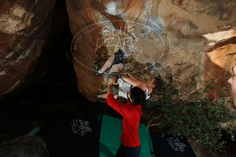 Bouldering in Hueco Tanks on 11/10/2019 with Blue Lizard Climbing and Yoga
Filename: SRM_20191110_1641370.jpg
Aperture: f/8.0
Shutter Speed: 1/250
Body: Canon EOS-1D Mark II
Lens: Canon EF 16-35mm f/2.8 L