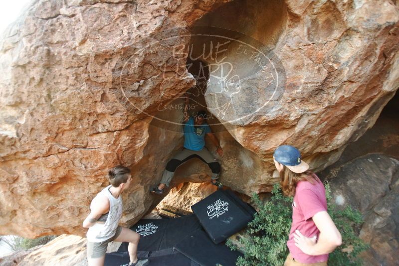 Bouldering in Hueco Tanks on 11/10/2019 with Blue Lizard Climbing and Yoga
Filename: SRM_20191110_1748150.jpg
Aperture: f/2.8
Shutter Speed: 1/125
Body: Canon EOS-1D Mark II
Lens: Canon EF 16-35mm f/2.8 L