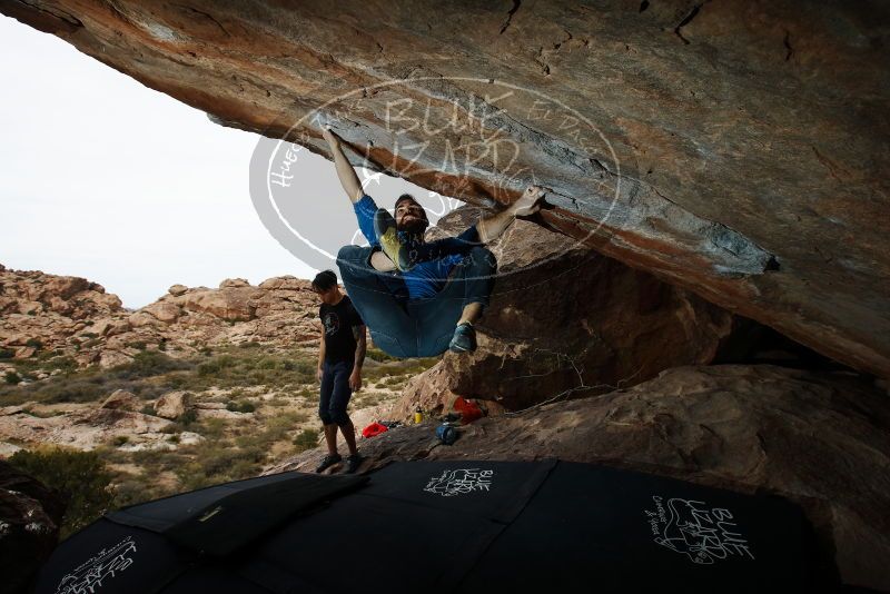Bouldering in Hueco Tanks on 11/17/2019 with Blue Lizard Climbing and Yoga
Filename: SRM_20191117_1311560.jpg
Aperture: f/8.0
Shutter Speed: 1/250
Body: Canon EOS-1D Mark II
Lens: Canon EF 16-35mm f/2.8 L