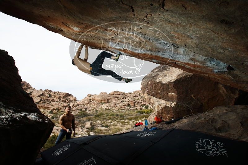 Bouldering in Hueco Tanks on 11/17/2019 with Blue Lizard Climbing and Yoga
Filename: SRM_20191117_1351130.jpg
Aperture: f/8.0
Shutter Speed: 1/250
Body: Canon EOS-1D Mark II
Lens: Canon EF 16-35mm f/2.8 L