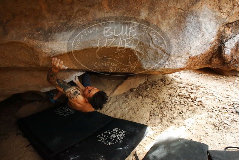 Bouldering in Hueco Tanks on 11/17/2019 with Blue Lizard Climbing and Yoga
Filename: SRM_20191117_1512280.jpg
Aperture: f/3.2
Shutter Speed: 1/250
Body: Canon EOS-1D Mark II
Lens: Canon EF 16-35mm f/2.8 L