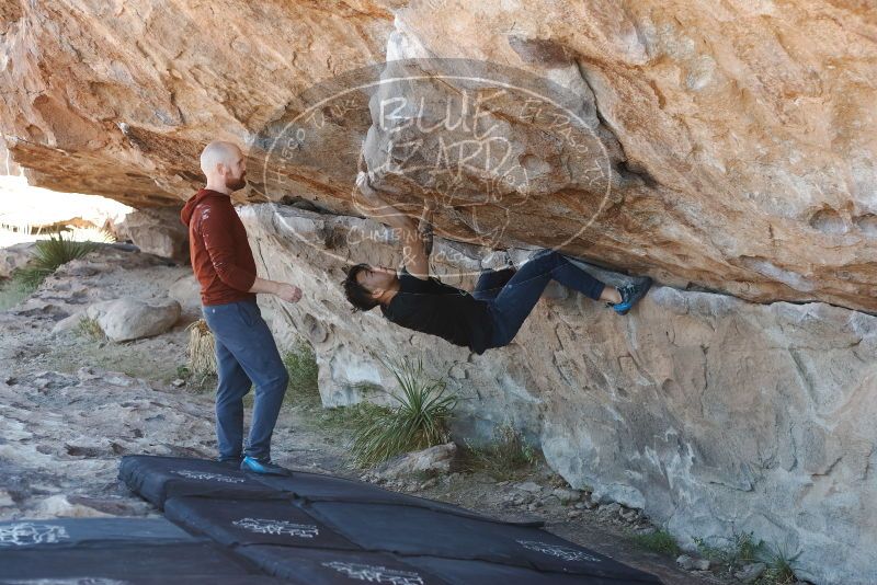 Bouldering in Hueco Tanks on 11/18/2019 with Blue Lizard Climbing and Yoga

Filename: SRM_20191118_1153050.jpg
Aperture: f/3.5
Shutter Speed: 1/250
Body: Canon EOS-1D Mark II
Lens: Canon EF 50mm f/1.8 II