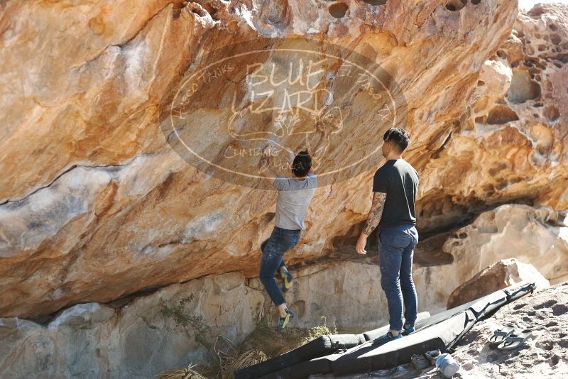 Bouldering in Hueco Tanks on 11/18/2019 with Blue Lizard Climbing and Yoga
Filename: SRM_20191118_1315470.jpg
Aperture: f/3.5
Shutter Speed: 1/250
Body: Canon EOS-1D Mark II
Lens: Canon EF 50mm f/1.8 II