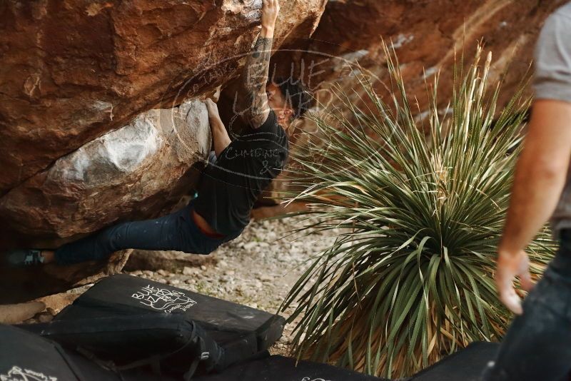 Bouldering in Hueco Tanks on 11/18/2019 with Blue Lizard Climbing and Yoga

Filename: SRM_20191118_1810110.jpg
Aperture: f/2.5
Shutter Speed: 1/250
Body: Canon EOS-1D Mark II
Lens: Canon EF 50mm f/1.8 II