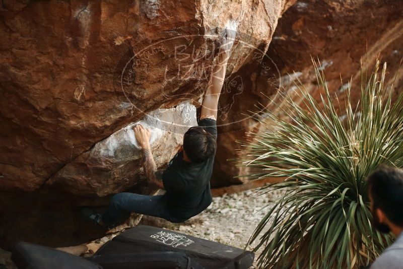 Bouldering in Hueco Tanks on 11/18/2019 with Blue Lizard Climbing and Yoga

Filename: SRM_20191118_1812220.jpg
Aperture: f/2.0
Shutter Speed: 1/250
Body: Canon EOS-1D Mark II
Lens: Canon EF 50mm f/1.8 II