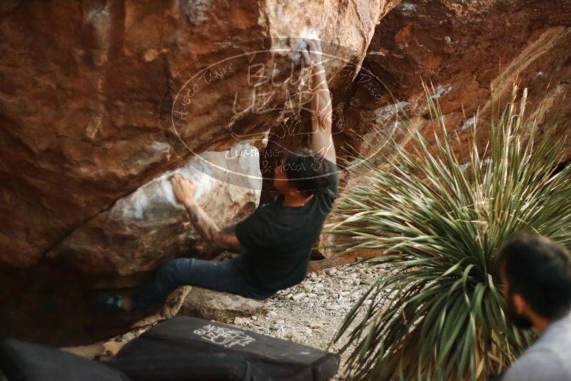 Bouldering in Hueco Tanks on 11/18/2019 with Blue Lizard Climbing and Yoga
Filename: SRM_20191118_1812240.jpg
Aperture: f/1.8
Shutter Speed: 1/250
Body: Canon EOS-1D Mark II
Lens: Canon EF 50mm f/1.8 II