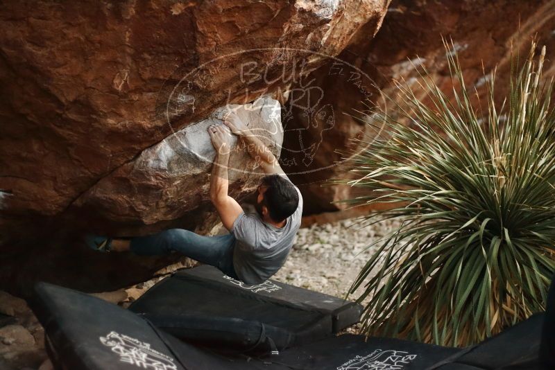 Bouldering in Hueco Tanks on 11/18/2019 with Blue Lizard Climbing and Yoga
Filename: SRM_20191118_1813570.jpg
Aperture: f/1.8
Shutter Speed: 1/250
Body: Canon EOS-1D Mark II
Lens: Canon EF 50mm f/1.8 II