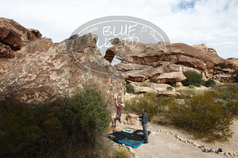 Bouldering in Hueco Tanks on 11/16/2019 with Blue Lizard Climbing and Yoga
Filename: SRM_20191116_1032090.jpg
Aperture: f/8.0
Shutter Speed: 1/400
Body: Canon EOS-1D Mark II
Lens: Canon EF 16-35mm f/2.8 L