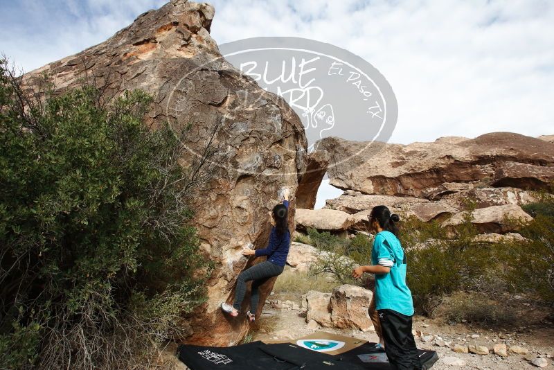 Bouldering in Hueco Tanks on 11/16/2019 with Blue Lizard Climbing and Yoga
Filename: SRM_20191116_1035070.jpg
Aperture: f/8.0
Shutter Speed: 1/400
Body: Canon EOS-1D Mark II
Lens: Canon EF 16-35mm f/2.8 L