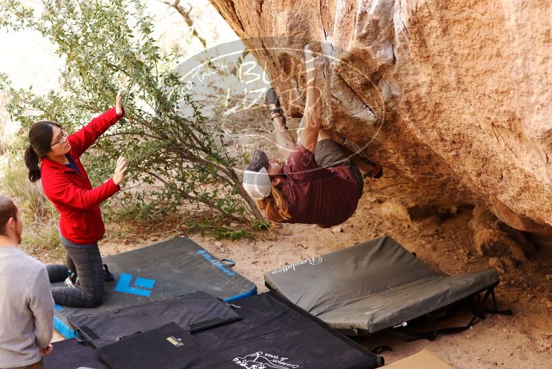Bouldering in Hueco Tanks on 11/16/2019 with Blue Lizard Climbing and Yoga
Filename: SRM_20191116_1100050.jpg
Aperture: f/2.8
Shutter Speed: 1/320
Body: Canon EOS-1D Mark II
Lens: Canon EF 85mm f/1.2 L II