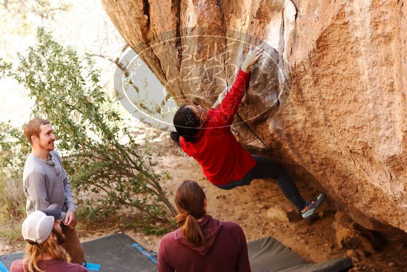 Bouldering in Hueco Tanks on 11/16/2019 with Blue Lizard Climbing and Yoga
Filename: SRM_20191116_1103230.jpg
Aperture: f/2.8
Shutter Speed: 1/400
Body: Canon EOS-1D Mark II
Lens: Canon EF 85mm f/1.2 L II