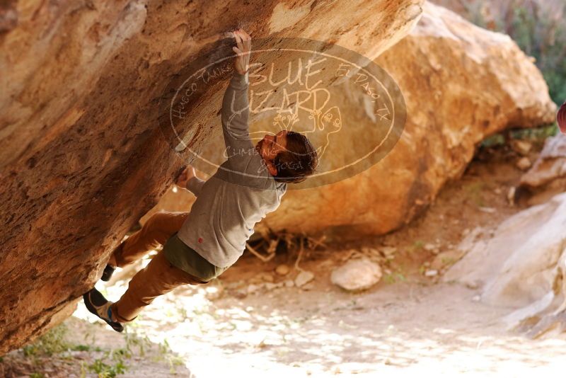 Bouldering in Hueco Tanks on 11/16/2019 with Blue Lizard Climbing and Yoga
Filename: SRM_20191116_1123590.jpg
Aperture: f/2.8
Shutter Speed: 1/320
Body: Canon EOS-1D Mark II
Lens: Canon EF 85mm f/1.2 L II