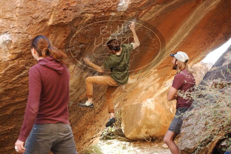 Bouldering in Hueco Tanks on 11/16/2019 with Blue Lizard Climbing and Yoga

Filename: SRM_20191116_1143300.jpg
Aperture: f/4.0
Shutter Speed: 1/200
Body: Canon EOS-1D Mark II
Lens: Canon EF 50mm f/1.8 II