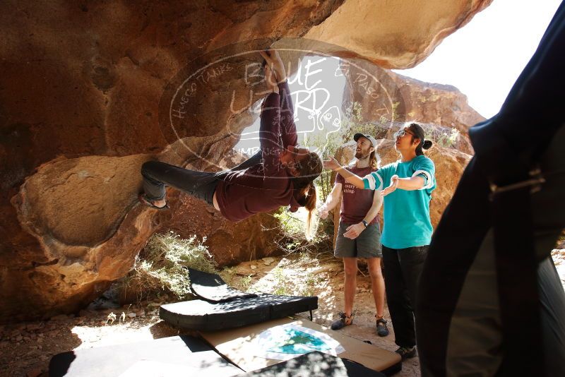 Bouldering in Hueco Tanks on 11/16/2019 with Blue Lizard Climbing and Yoga
Filename: SRM_20191116_1158290.jpg
Aperture: f/5.6
Shutter Speed: 1/200
Body: Canon EOS-1D Mark II
Lens: Canon EF 16-35mm f/2.8 L
