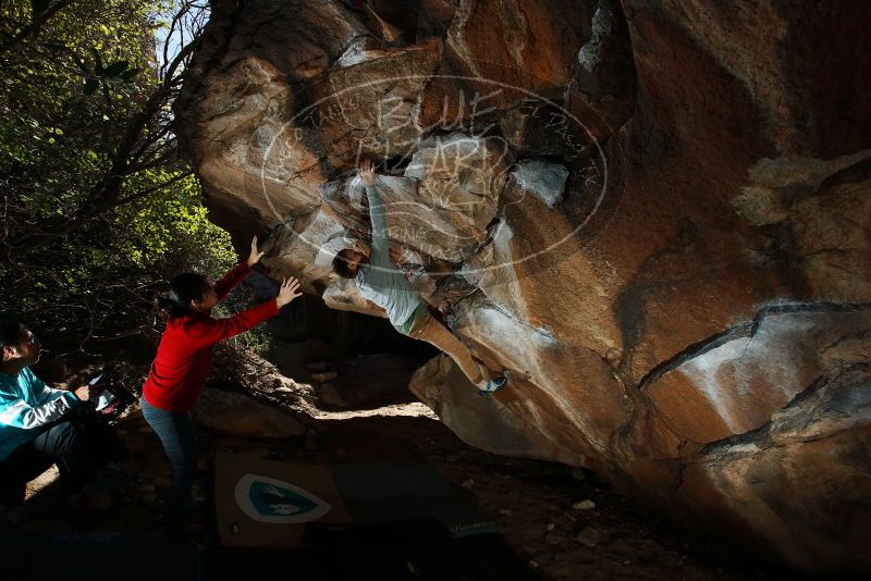 Bouldering in Hueco Tanks on 11/16/2019 with Blue Lizard Climbing and Yoga
Filename: SRM_20191116_1337570.jpg
Aperture: f/8.0
Shutter Speed: 1/250
Body: Canon EOS-1D Mark II
Lens: Canon EF 16-35mm f/2.8 L