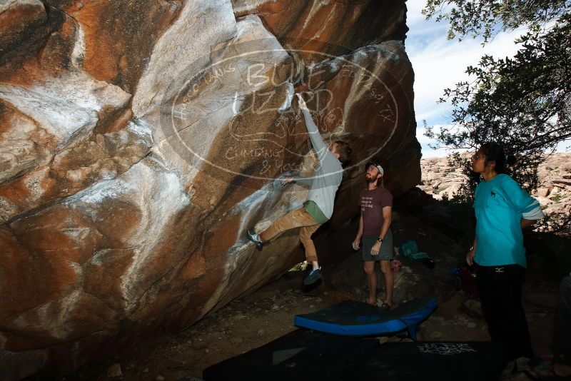 Bouldering in Hueco Tanks on 11/16/2019 with Blue Lizard Climbing and Yoga
Filename: SRM_20191116_1357130.jpg
Aperture: f/8.0
Shutter Speed: 1/250
Body: Canon EOS-1D Mark II
Lens: Canon EF 16-35mm f/2.8 L
