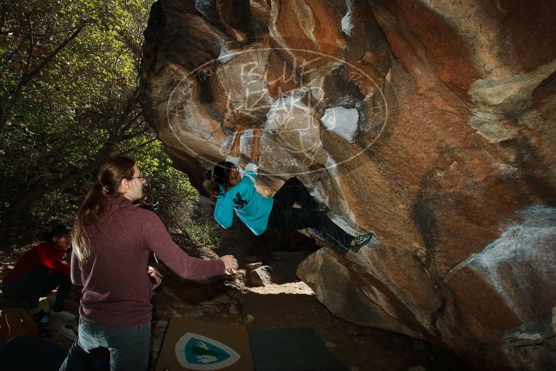 Bouldering in Hueco Tanks on 11/16/2019 with Blue Lizard Climbing and Yoga
Filename: SRM_20191116_1402500.jpg
Aperture: f/8.0
Shutter Speed: 1/250
Body: Canon EOS-1D Mark II
Lens: Canon EF 16-35mm f/2.8 L