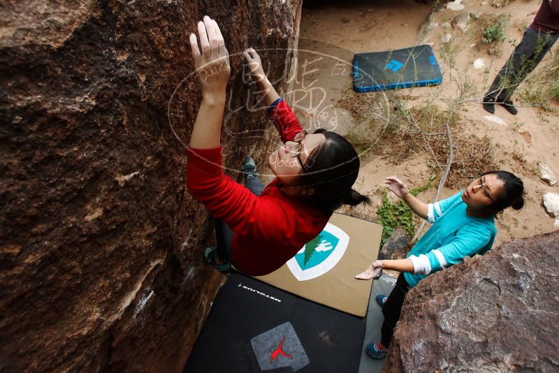 Bouldering in Hueco Tanks on 11/16/2019 with Blue Lizard Climbing and Yoga
Filename: SRM_20191116_1438511.jpg
Aperture: f/5.6
Shutter Speed: 1/400
Body: Canon EOS-1D Mark II
Lens: Canon EF 16-35mm f/2.8 L