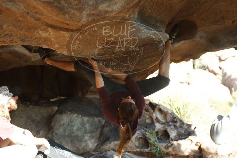 Bouldering in Hueco Tanks on 11/16/2019 with Blue Lizard Climbing and Yoga
Filename: SRM_20191116_1604280.jpg
Aperture: f/4.0
Shutter Speed: 1/320
Body: Canon EOS-1D Mark II
Lens: Canon EF 50mm f/1.8 II