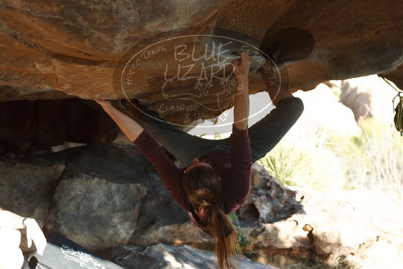 Bouldering in Hueco Tanks on 11/16/2019 with Blue Lizard Climbing and Yoga
Filename: SRM_20191116_1604320.jpg
Aperture: f/4.0
Shutter Speed: 1/400
Body: Canon EOS-1D Mark II
Lens: Canon EF 50mm f/1.8 II
