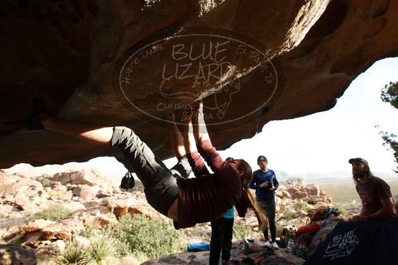 Bouldering in Hueco Tanks on 11/16/2019 with Blue Lizard Climbing and Yoga
Filename: SRM_20191116_1644470.jpg
Aperture: f/5.6
Shutter Speed: 1/250
Body: Canon EOS-1D Mark II
Lens: Canon EF 16-35mm f/2.8 L