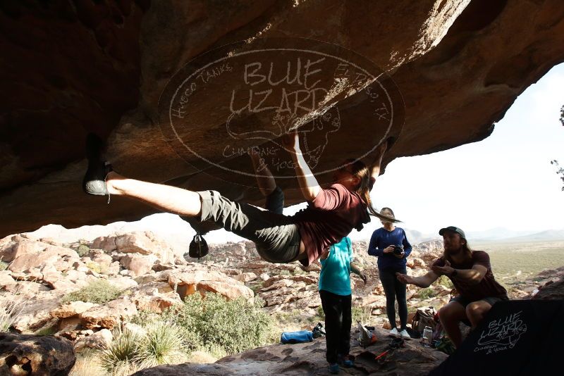 Bouldering in Hueco Tanks on 11/16/2019 with Blue Lizard Climbing and Yoga

Filename: SRM_20191116_1644501.jpg
Aperture: f/5.6
Shutter Speed: 1/250
Body: Canon EOS-1D Mark II
Lens: Canon EF 16-35mm f/2.8 L