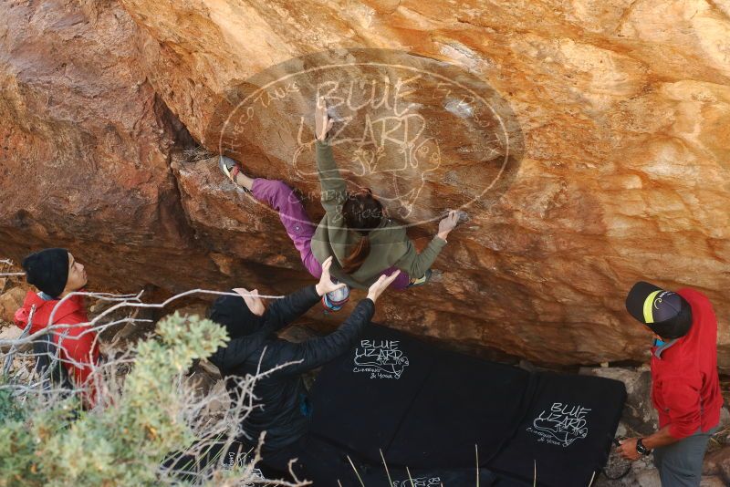 

Filename: SRM_20191123_1227440.jpg
Aperture: f/3.5
Shutter Speed: 1/250
Body: Canon EOS-1D Mark II
Lens: Canon EF 50mm f/1.8 II