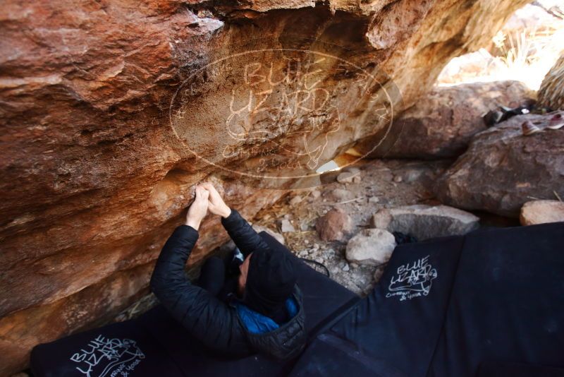 Bouldering in Hueco Tanks on 11/23/2019 with Blue Lizard Climbing and Yoga

Filename: SRM_20191123_1232170.jpg
Aperture: f/3.5
Shutter Speed: 1/250
Body: Canon EOS-1D Mark II
Lens: Canon EF 16-35mm f/2.8 L