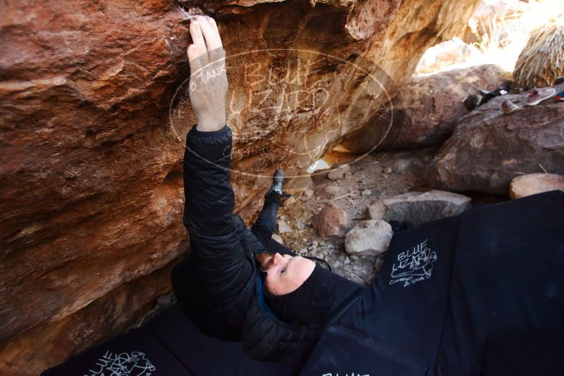 Bouldering in Hueco Tanks on 11/23/2019 with Blue Lizard Climbing and Yoga

Filename: SRM_20191123_1232250.jpg
Aperture: f/3.5
Shutter Speed: 1/250
Body: Canon EOS-1D Mark II
Lens: Canon EF 16-35mm f/2.8 L