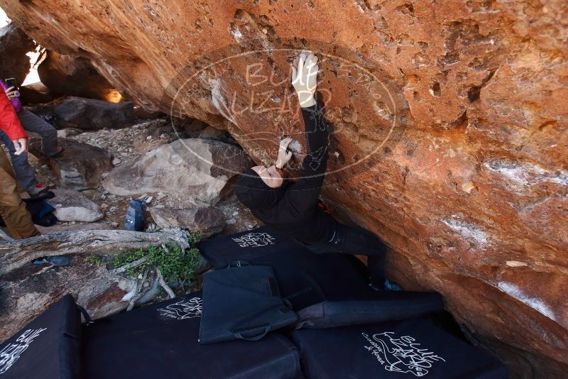 Bouldering in Hueco Tanks on 11/23/2019 with Blue Lizard Climbing and Yoga
Filename: SRM_20191123_1253240.jpg
Aperture: f/4.5
Shutter Speed: 1/250
Body: Canon EOS-1D Mark II
Lens: Canon EF 16-35mm f/2.8 L