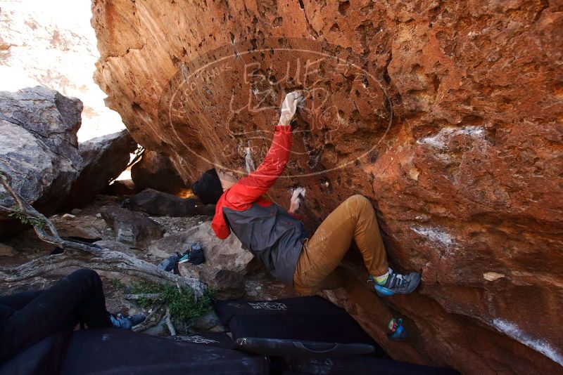 Bouldering in Hueco Tanks on 11/23/2019 with Blue Lizard Climbing and Yoga

Filename: SRM_20191123_1304170.jpg
Aperture: f/5.6
Shutter Speed: 1/250
Body: Canon EOS-1D Mark II
Lens: Canon EF 16-35mm f/2.8 L