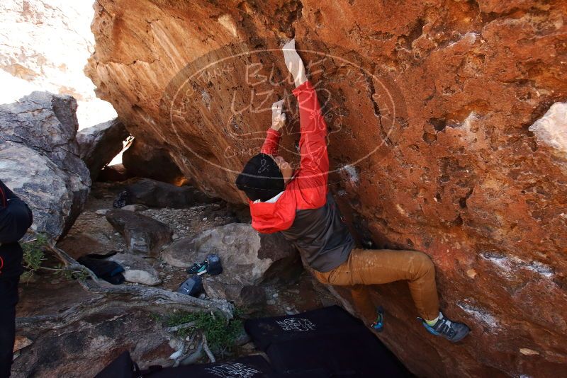 Bouldering in Hueco Tanks on 11/23/2019 with Blue Lizard Climbing and Yoga

Filename: SRM_20191123_1309500.jpg
Aperture: f/6.3
Shutter Speed: 1/250
Body: Canon EOS-1D Mark II
Lens: Canon EF 16-35mm f/2.8 L