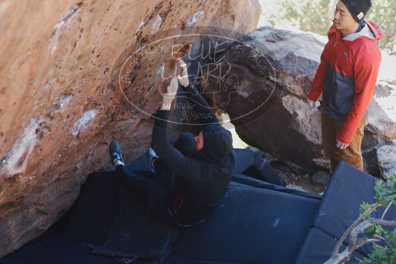 

Filename: SRM_20191123_1317422.jpg
Aperture: f/2.5
Shutter Speed: 1/250
Body: Canon EOS-1D Mark II
Lens: Canon EF 50mm f/1.8 II