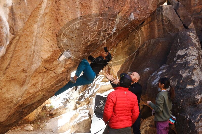 

Filename: SRM_20191123_1403540.jpg
Aperture: f/4.5
Shutter Speed: 1/250
Body: Canon EOS-1D Mark II
Lens: Canon EF 50mm f/1.8 II