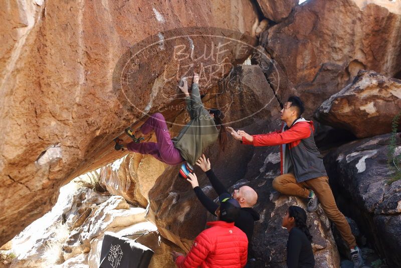 Bouldering in Hueco Tanks on 11/23/2019 with Blue Lizard Climbing and Yoga
Filename: SRM_20191123_1404480.jpg
Aperture: f/3.5
Shutter Speed: 1/250
Body: Canon EOS-1D Mark II
Lens: Canon EF 50mm f/1.8 II