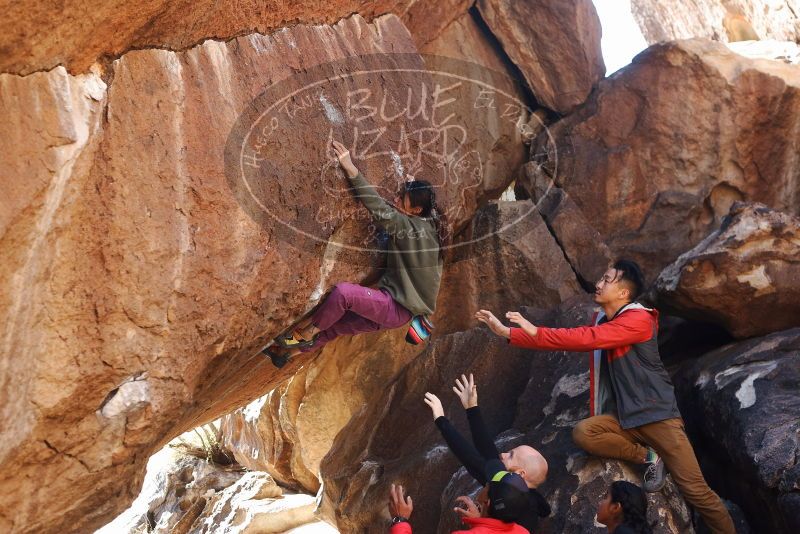Bouldering in Hueco Tanks on 11/23/2019 with Blue Lizard Climbing and Yoga

Filename: SRM_20191123_1405040.jpg
Aperture: f/3.5
Shutter Speed: 1/250
Body: Canon EOS-1D Mark II
Lens: Canon EF 50mm f/1.8 II