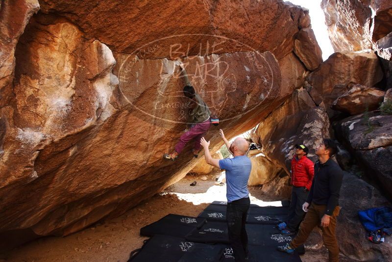 Bouldering in Hueco Tanks on 11/23/2019 with Blue Lizard Climbing and Yoga

Filename: SRM_20191123_1445370.jpg
Aperture: f/4.5
Shutter Speed: 1/250
Body: Canon EOS-1D Mark II
Lens: Canon EF 16-35mm f/2.8 L