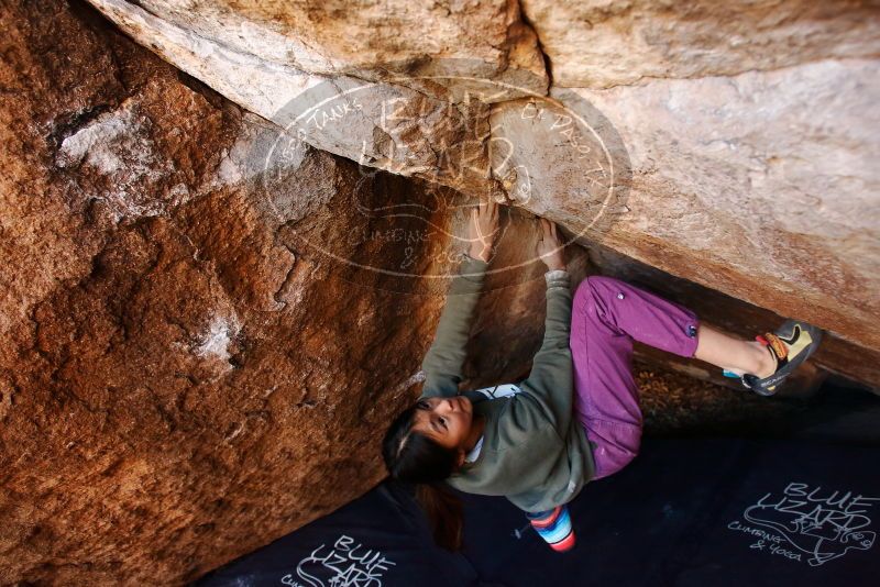 Bouldering in Hueco Tanks on 11/23/2019 with Blue Lizard Climbing and Yoga

Filename: SRM_20191123_1517300.jpg
Aperture: f/5.0
Shutter Speed: 1/250
Body: Canon EOS-1D Mark II
Lens: Canon EF 16-35mm f/2.8 L