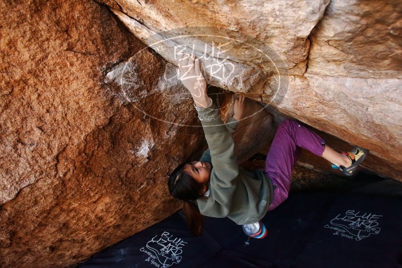 

Filename: SRM_20191123_1517310.jpg
Aperture: f/5.0
Shutter Speed: 1/250
Body: Canon EOS-1D Mark II
Lens: Canon EF 16-35mm f/2.8 L