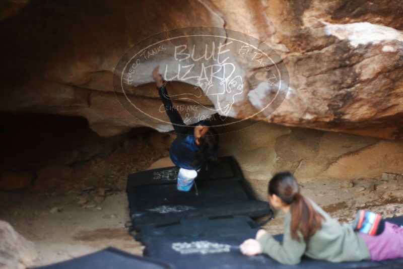 Bouldering in Hueco Tanks on 11/23/2019 with Blue Lizard Climbing and Yoga

Filename: SRM_20191123_1720301.jpg
Aperture: f/1.8
Shutter Speed: 1/250
Body: Canon EOS-1D Mark II
Lens: Canon EF 50mm f/1.8 II