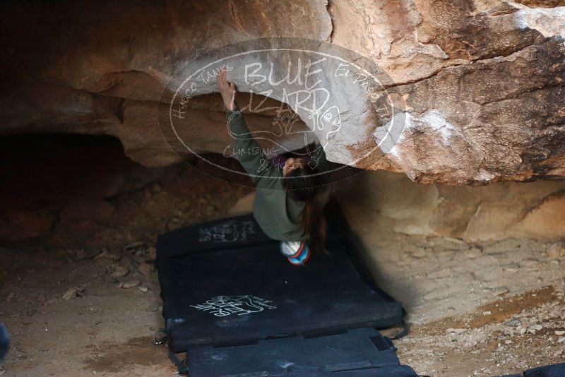 Bouldering in Hueco Tanks on 11/23/2019 with Blue Lizard Climbing and Yoga

Filename: SRM_20191123_1721560.jpg
Aperture: f/1.8
Shutter Speed: 1/200
Body: Canon EOS-1D Mark II
Lens: Canon EF 50mm f/1.8 II
