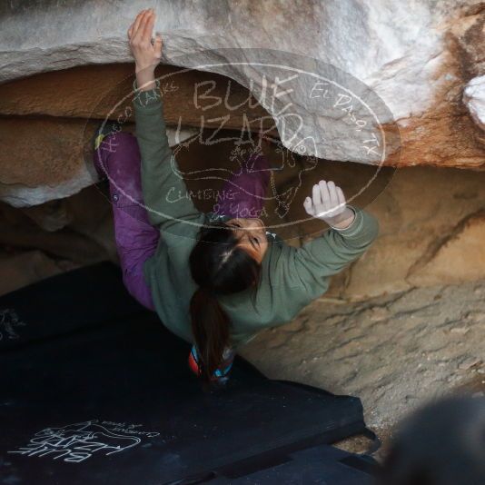 

Filename: SRM_20191123_1728420.jpg
Aperture: f/1.8
Shutter Speed: 1/200
Body: Canon EOS-1D Mark II
Lens: Canon EF 50mm f/1.8 II