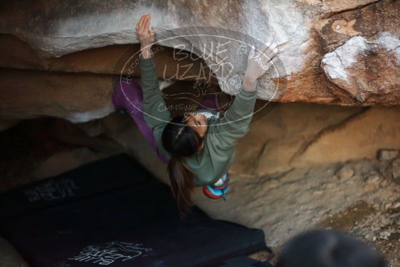 Bouldering in Hueco Tanks on 11/23/2019 with Blue Lizard Climbing and Yoga

Filename: SRM_20191123_1728430.jpg
Aperture: f/1.8
Shutter Speed: 1/250
Body: Canon EOS-1D Mark II
Lens: Canon EF 50mm f/1.8 II