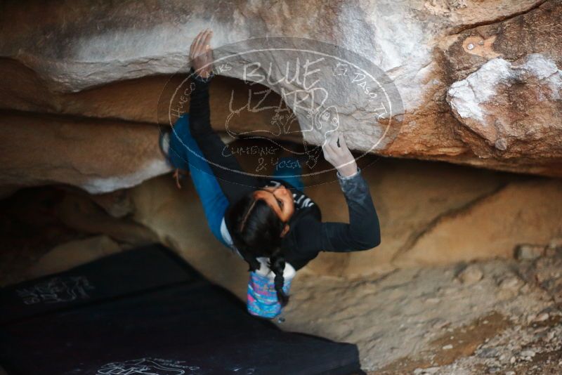 Bouldering in Hueco Tanks on 11/23/2019 with Blue Lizard Climbing and Yoga

Filename: SRM_20191123_1731390.jpg
Aperture: f/1.8
Shutter Speed: 1/200
Body: Canon EOS-1D Mark II
Lens: Canon EF 50mm f/1.8 II
