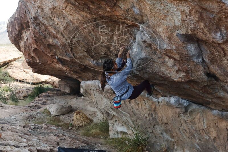 Bouldering in Hueco Tanks on 11/24/2019 with Blue Lizard Climbing and Yoga

Filename: SRM_20191124_1008420.jpg
Aperture: f/6.3
Shutter Speed: 1/250
Body: Canon EOS-1D Mark II
Lens: Canon EF 50mm f/1.8 II