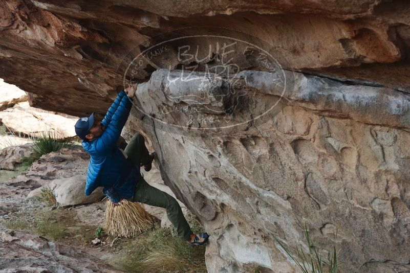 Bouldering in Hueco Tanks on 11/24/2019 with Blue Lizard Climbing and Yoga

Filename: SRM_20191124_1012260.jpg
Aperture: f/6.3
Shutter Speed: 1/250
Body: Canon EOS-1D Mark II
Lens: Canon EF 50mm f/1.8 II