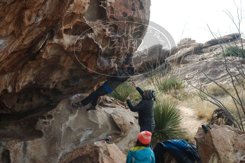 Bouldering in Hueco Tanks on 11/24/2019 with Blue Lizard Climbing and Yoga
Filename: SRM_20191124_1028590.jpg
Aperture: f/8.0
Shutter Speed: 1/250
Body: Canon EOS-1D Mark II
Lens: Canon EF 50mm f/1.8 II