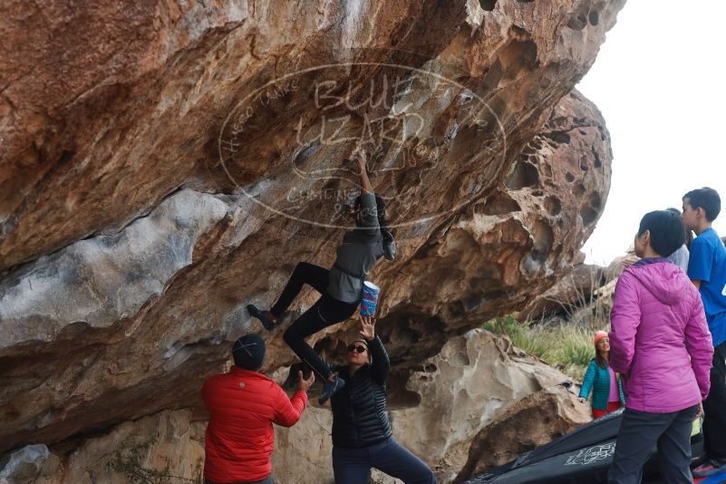 Bouldering in Hueco Tanks on 11/24/2019 with Blue Lizard Climbing and Yoga
Filename: SRM_20191124_1038110.jpg
Aperture: f/6.3
Shutter Speed: 1/250
Body: Canon EOS-1D Mark II
Lens: Canon EF 50mm f/1.8 II